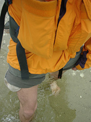 Inlet ���N���X���Ă���}