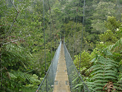 Swingbridge